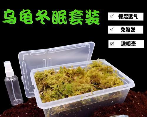 巴西龟的水深要求及注意事项（水的深度对巴西龟的影响及如何正确调节水位）