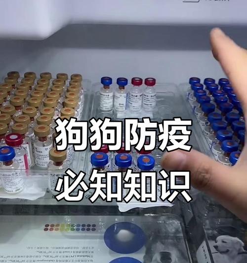 全面了解宠物疫苗，保护我们的毛茸伙伴（宠物疫苗的种类和作用，助您为宠物提供最佳护理）