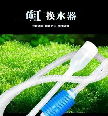 水的更换频率对于健康的重要性（探究水簇更换周期对人体健康的影响）