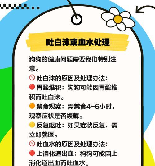 母狗配完多久呕吐（了解母狗配种后的呕吐现象及处理方法）