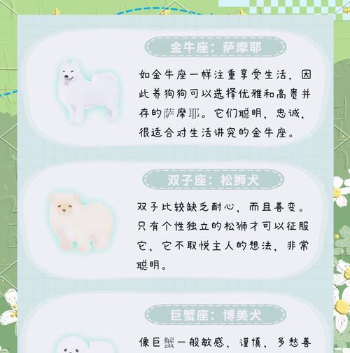 探秘狗狗的12星座世界（解读狗狗的性格特点与星座）