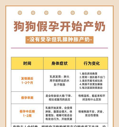 边牧母孕期多久？（了解边牧母孕期的重要知识及）