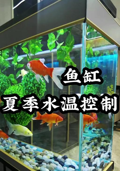如何科学合理地换水，延长新草缸的使用寿命（新草缸换水频率与方法探析，）