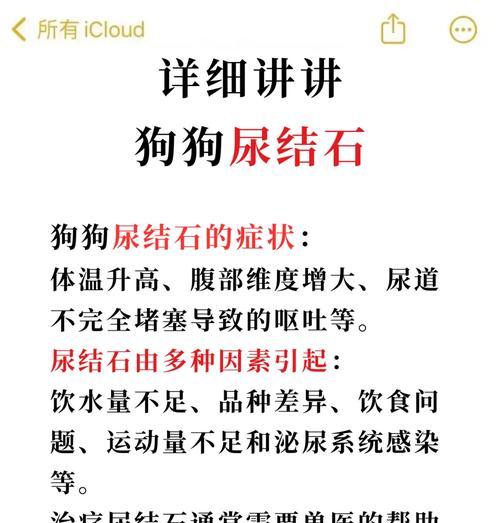 狗狗泌尿疾病的防治措施（宠物狗常见泌尿系统问题及解决办法）