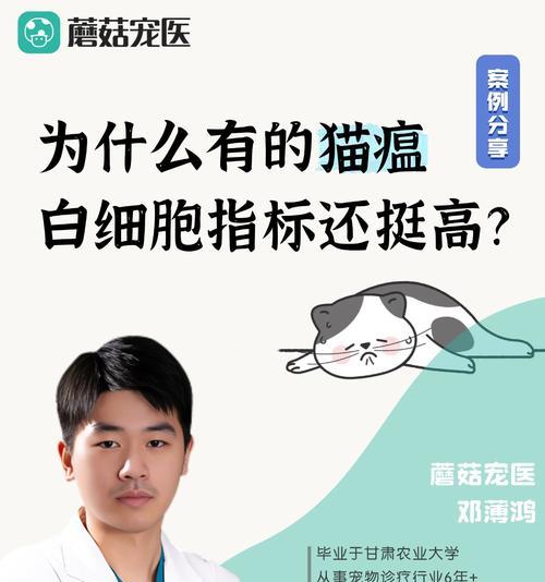 幼猫罹患猫瘟，生存时间与关键因素（猫瘟的致命威胁和预防措施解析）