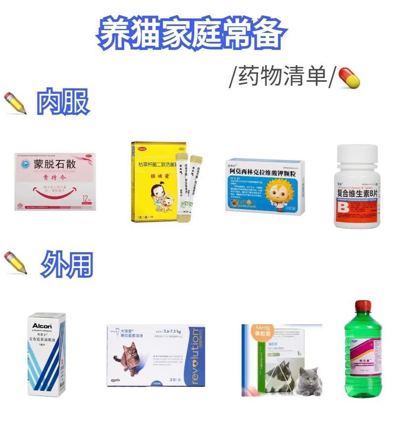 养猫家庭常备药品，为猫咪健康保驾护航（了解猫咪健康需求，准备好必备药品）