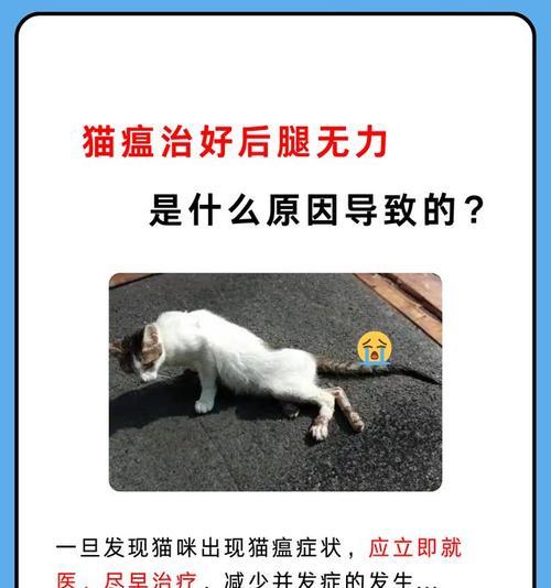 猫瘟治愈后的预期寿命及关键因素（猫瘟治愈后能再活多久？寿命取决于综合因素）