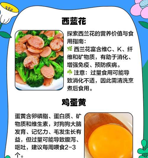 泰迪狗的饮食禁忌（保护宠物犬健康的必备知识，泰迪狗食物禁忌揭秘）