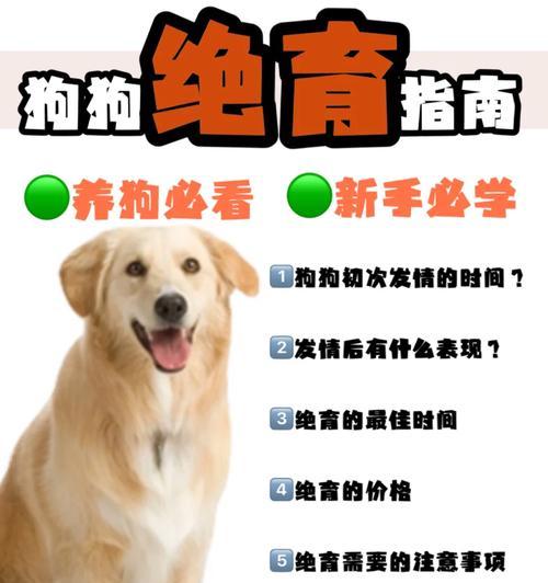 狗狗怀孕多久可做绝育？（了解适合狗狗绝育的最佳时间）