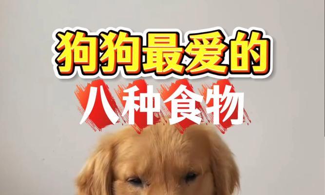 狗狗超爱吃的6种食物，看到都流口水，太馋了（满足你宠物的味蕾，提供最佳饮食选择）