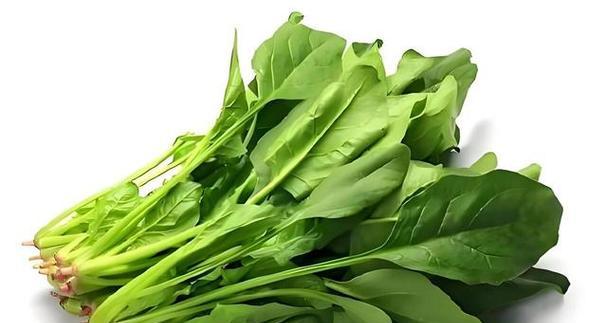 兔子的蔬菜饮食需求（了解兔子喜欢的蔬菜，为它们提供全面均衡的营养）