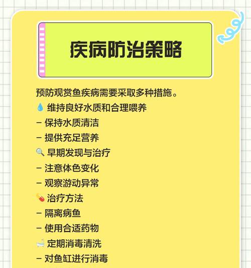 如何解决观赏鱼体质问题（鱼友必读的体质调理指南）