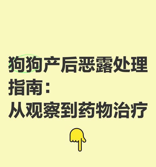 狗产后恶露排出时间及注意事项