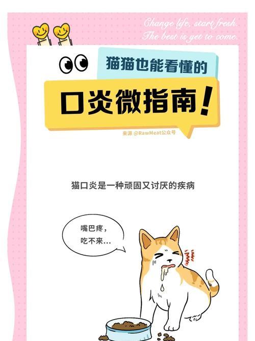 以猫咪治疗口炎的方法及费用（了解口炎治疗的具体措施和所需费用）