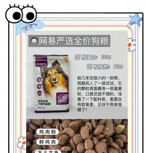 狗粮喂养指南（科学合理的狗粮喂养，让你的宠物更健康）
