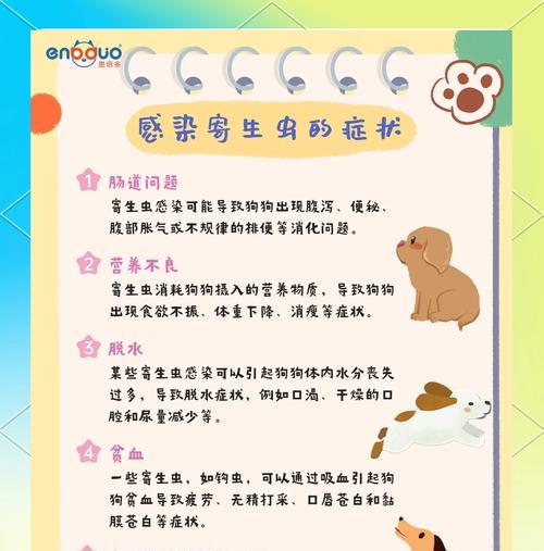 小狗驱虫的时间间隔及注意事项（科学驱虫，让小狗远离寄生虫侵袭）