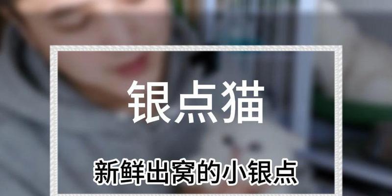 异国短毛猫（了解异国短毛猫的窝出时机，让它们顺利成长）
