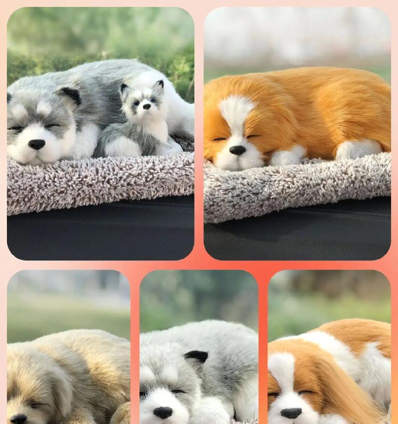 探索高档犬的魅力世界（了解高档犬的种类和特点，以及养护和训练技巧）