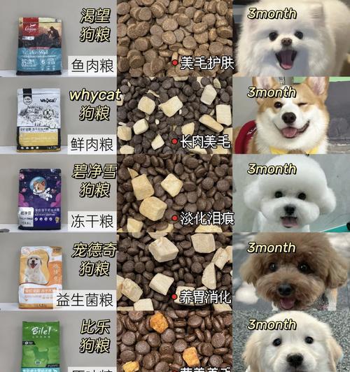 如何科学判断狗狗一天需要摄入的狗粮量（狗粮摄入量计算方法及营养需求分析）