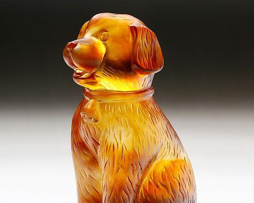 高档犬的魅力与饲养要点（探索高档犬种的风采，分享养犬心得）