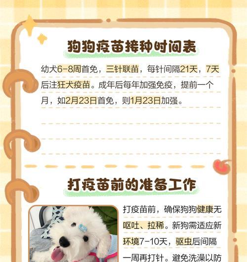 狗狗疫苗接种时间表及注意事项（宠物狗疫苗接种的重要性及正确的接种时间）