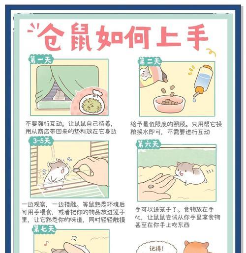 仓鼠适应环境需要多长时间？（探索仓鼠的适应能力及时间周期）