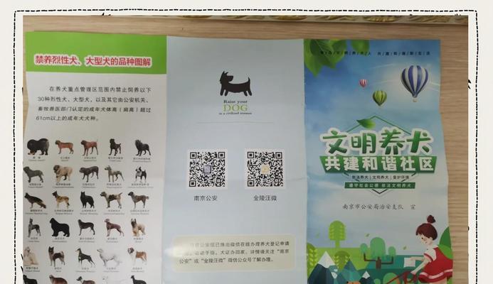 养犬的经济效益（探索养犬在经济上的利益与价值，以及如何从犬只身上获得额外收益）