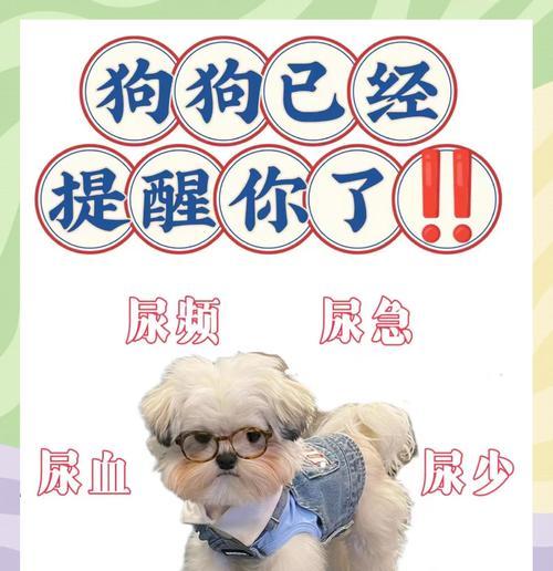 狗喝水后多久撒尿？（探究狗狗的排尿频率及其影响因素）
