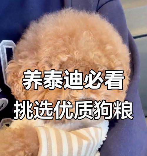 20斤狗粮能够满足泰迪的食物需求吗？（探究20斤狗粮对泰迪的可持续食用时间）