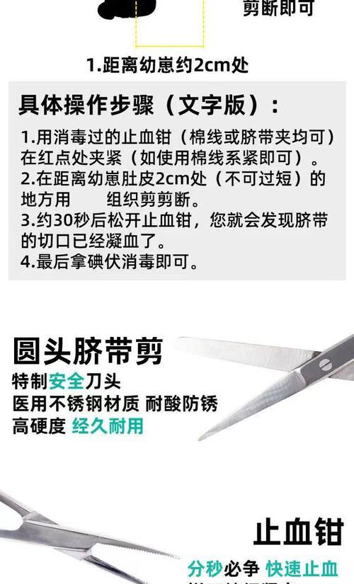 家中母狗要分娩教你如何接生（为你的宠物提供安全的分娩环境）