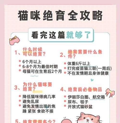 关于猫咪绝育的重要知识（为你的猫咪选择绝育，关爱它的健康与幸福）