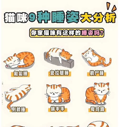 揭秘猫咪每天睡眠时间之谜（探索猫咪的神秘睡眠习惯，从奥妙中寻找真相）
