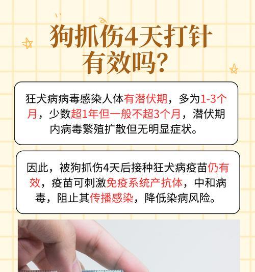 小狗打狂犬疫苗的必要性与时机