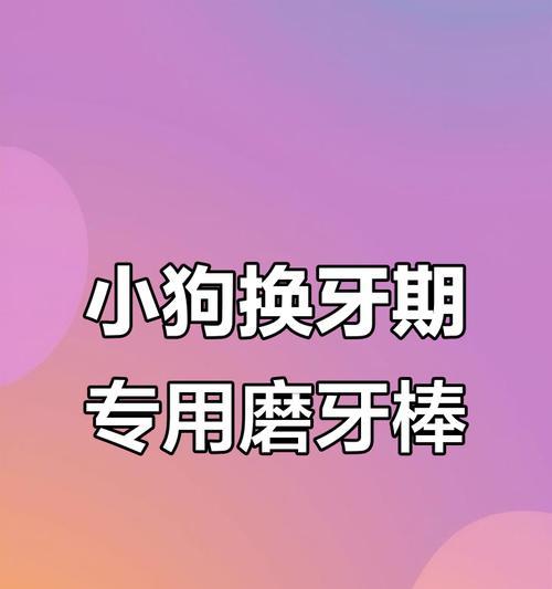 宝贝狗狗乱咬东西？换牙期是罪魁祸首！（解决办法就在这里，给幼犬准备磨牙的神器！）