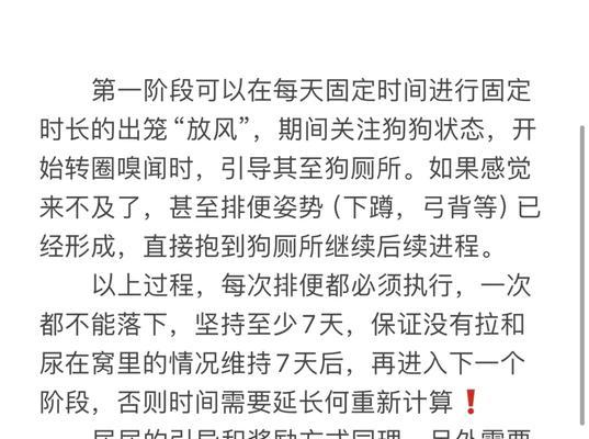 狗狗学校的大小便训练周期（探寻狗狗学校大小便训练的时间及关键因素）