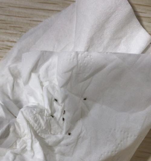 猫咪身上有跳蚤怎么办？快速消灭的方法（了解猫身上跳蚤的症状与预防措施）