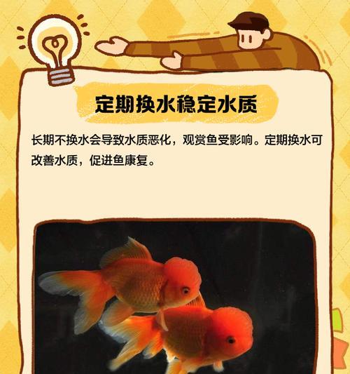 探究观赏鱼饲养中的老水之谜（老水并非饲养观赏鱼的唯一选择，水质关键影响因素解析）