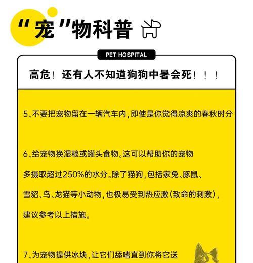 狗狗中暑能扛多久？