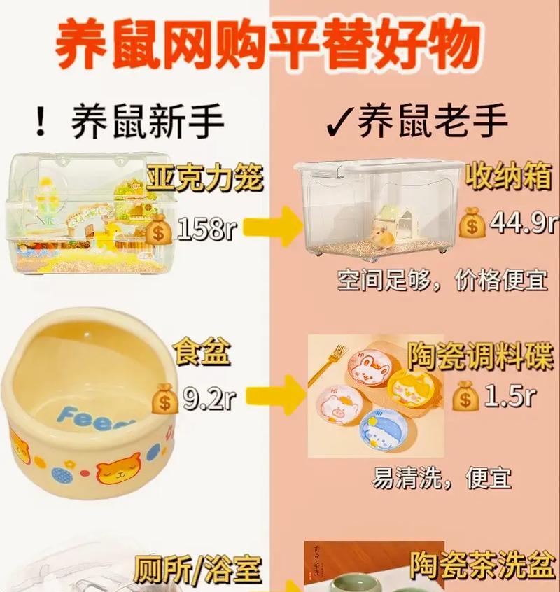 仓鼠饲养的八大禁忌及养护要点（养好宠物仓鼠的关键是避免以下禁忌）