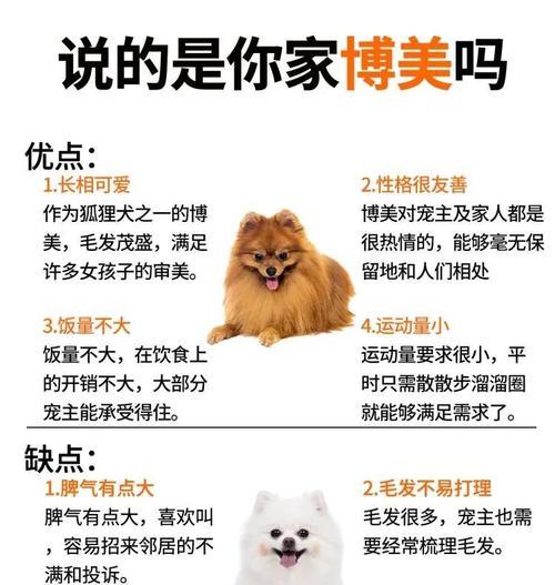 揭秘博美犬价格（影响博美犬价格的六个主要因素）