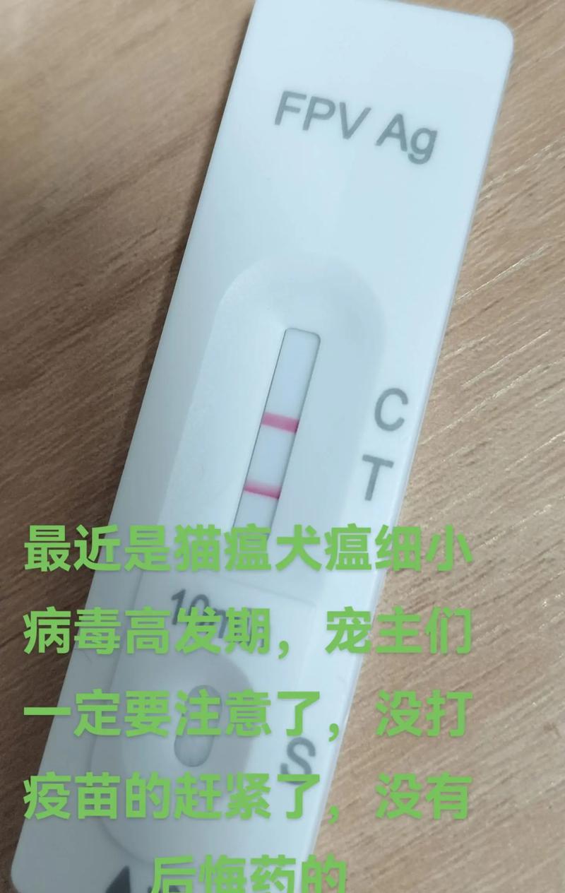 犬瘟病的隐藏期（探索犬瘟病潜伏的时长与关键因素）