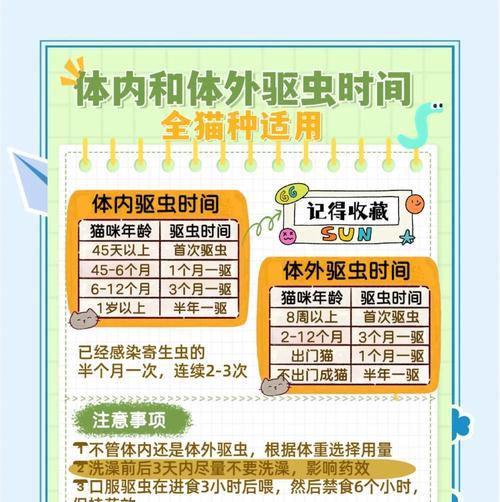 猫咪体外驱虫的重要性及频率（宠物保健与猫咪健康的关键/猫咪养护中必不可少的一环）