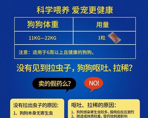 哈士奇驱虫频率及注意事项（了解哈士奇驱虫周期的关键知识）