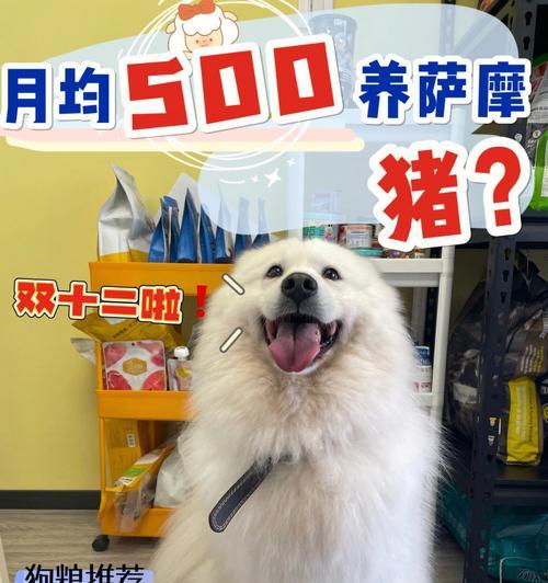 萨摩狗狗每天运动多久最佳？（探索萨摩狗狗理想运动时长及关键要点）