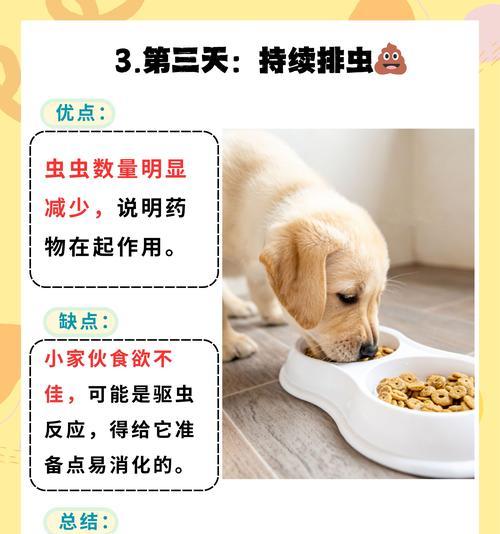 狗狗打虫的时间安排（保护宠物健康，打虫合适时间是关键）
