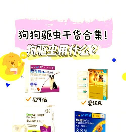 狗狗常见的寄生虫及驱虫药选择指南（了解寄生虫种类，选择适合狗狗的驱虫药）
