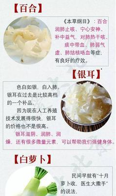 揭秘狗狗肺热症状（发现宠物不适时刻警惕，肺热症状不容忽视）