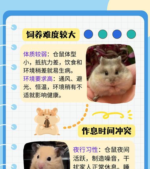 仓鼠饲养的八大禁忌，新手必看（养仓鼠要注意的禁忌事项，小心陷入误区）