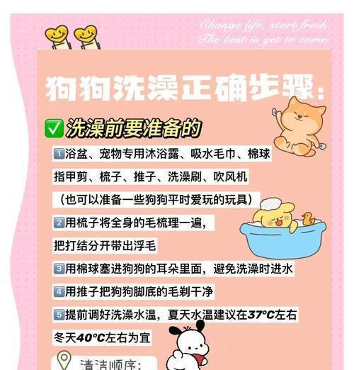 狗绝育后洗澡时间的重要性（科学绝育术后洗澡时间的安排和注意事项）