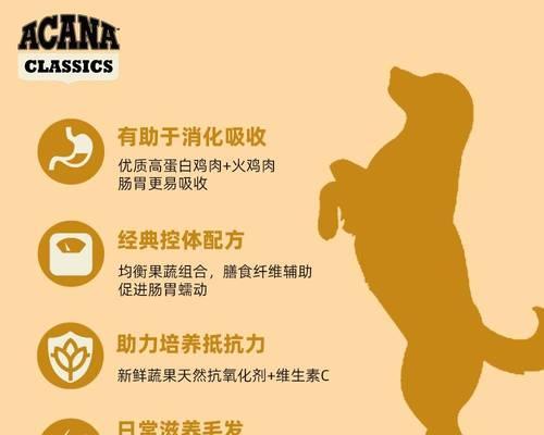 狗粮的牌子选择对狗狗健康至关重要（了解狗粮品牌的好处，让宠物更健康）